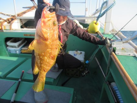 真祐丸 (しんゆうまる) 釣果