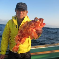 真祐丸 (しんゆうまる) 釣果