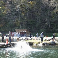 平谷湖フィッシングスポット 釣果