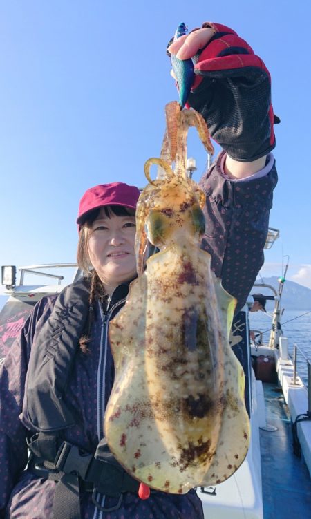 シースナイパー海龍 釣果