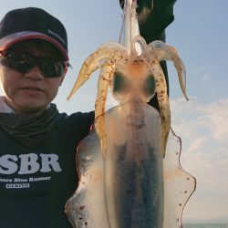 シースナイパー海龍 釣果