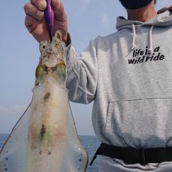 シースナイパー海龍 釣果