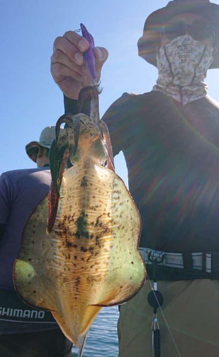 シースナイパー海龍 釣果