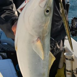 サンマリン 釣果