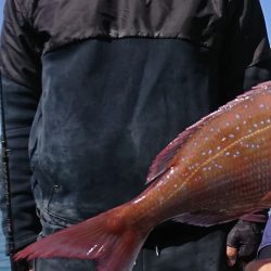 遊漁船 家入 釣果