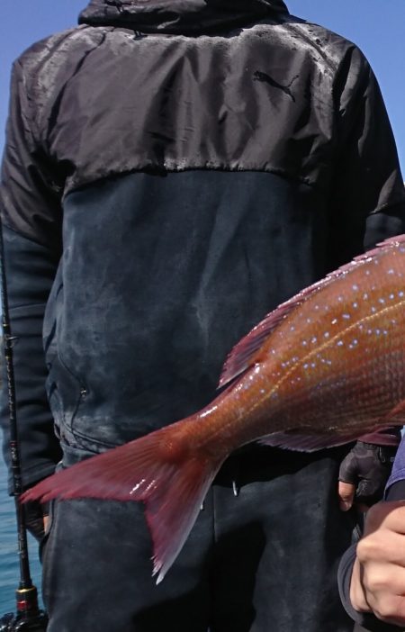 遊漁船 家入 釣果