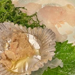 ブルースフィッシングサービス 釣果