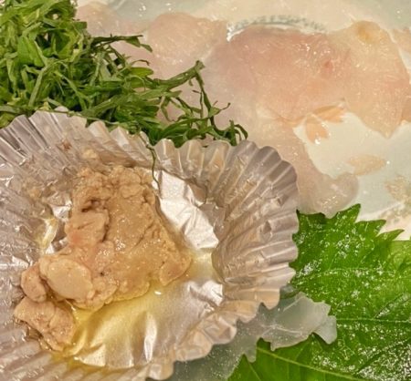 ブルースフィッシングサービス 釣果