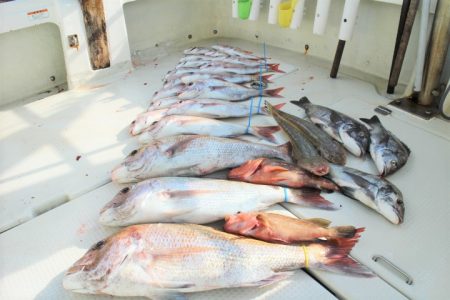 KIM Fishing Guide Ser…