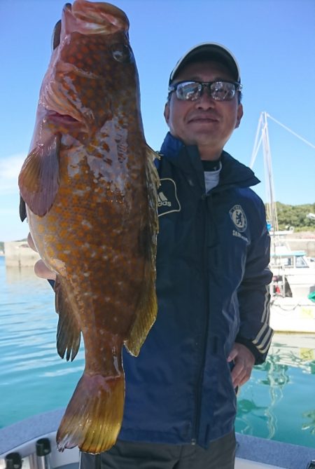 遊漁船 家入 釣果