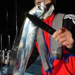 シースナイパー海龍 釣果