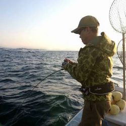 幕島丸 釣果