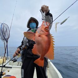 幕島丸 釣果