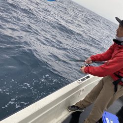 幕島丸 釣果