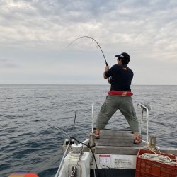 幕島丸 釣果