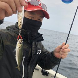幕島丸 釣果