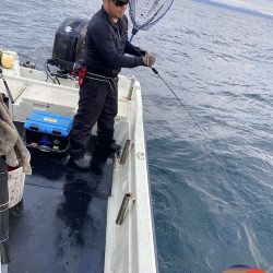 幕島丸 釣果