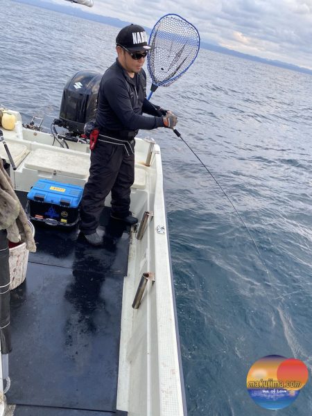 幕島丸 釣果