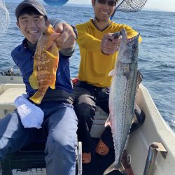 幕島丸 釣果