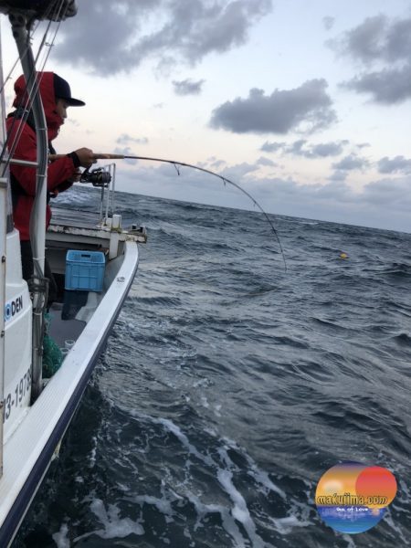 幕島丸 釣果