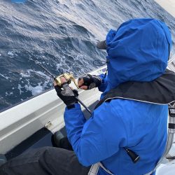 幕島丸 釣果