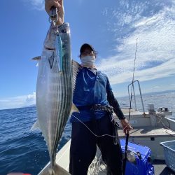 幕島丸 釣果
