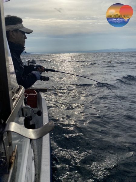 幕島丸 釣果