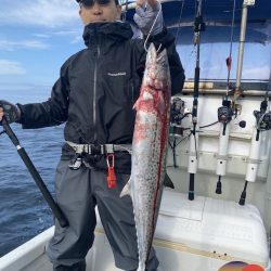 幕島丸 釣果