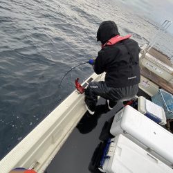 幕島丸 釣果