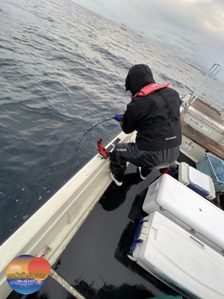 幕島丸 釣果