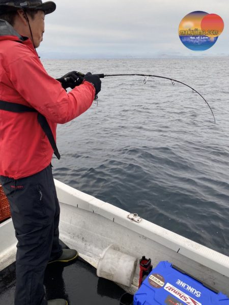 幕島丸 釣果