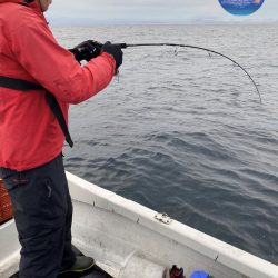 幕島丸 釣果