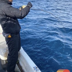 幕島丸 釣果