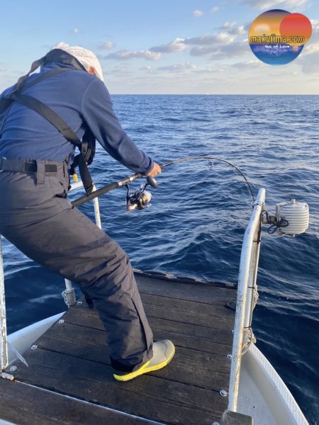 幕島丸 釣果