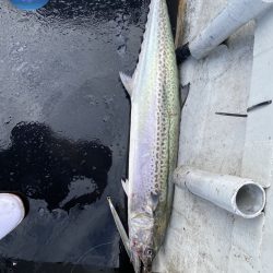 幕島丸 釣果
