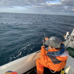 幕島丸 釣果