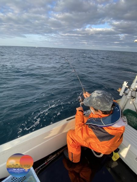 幕島丸 釣果