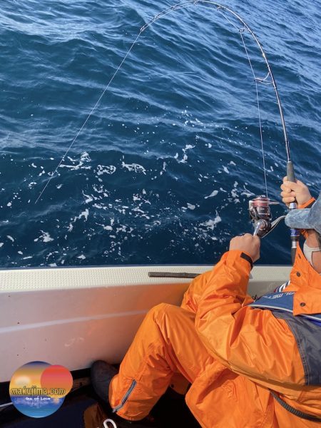 幕島丸 釣果