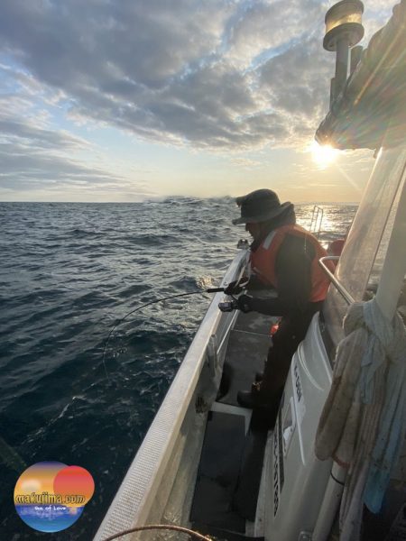 幕島丸 釣果