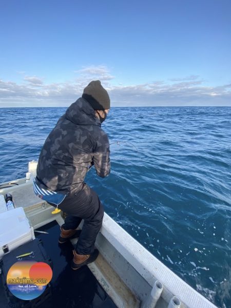 幕島丸 釣果