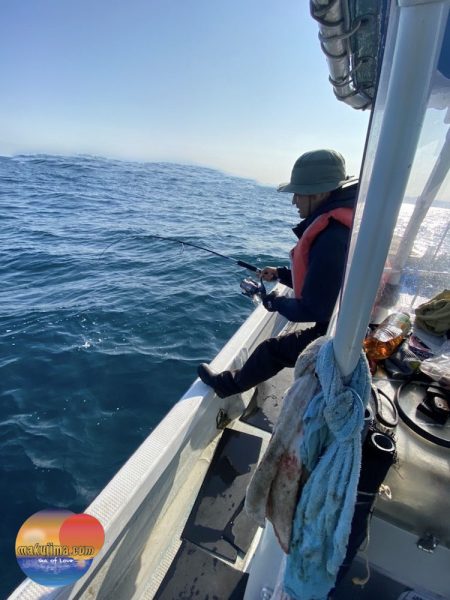 幕島丸 釣果