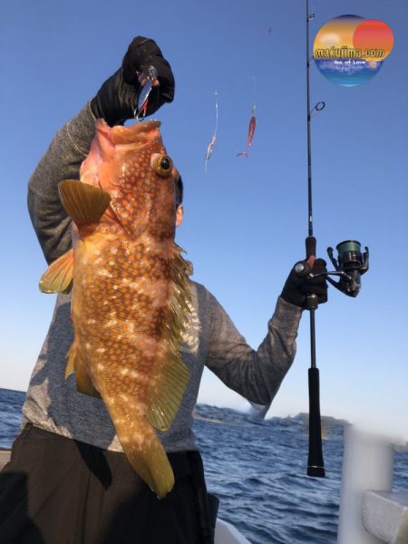 幕島丸 釣果