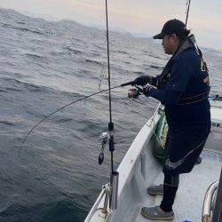 幕島丸 釣果