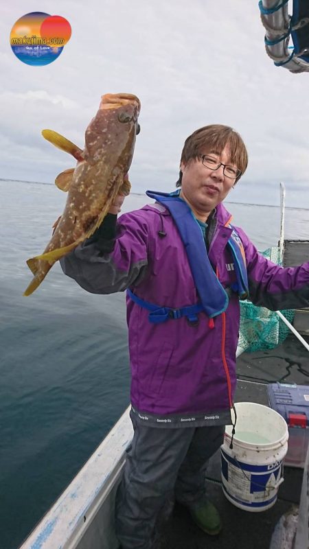 幕島丸 釣果