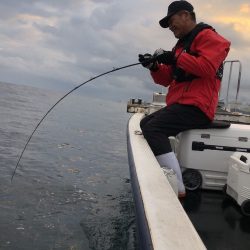 幕島丸 釣果