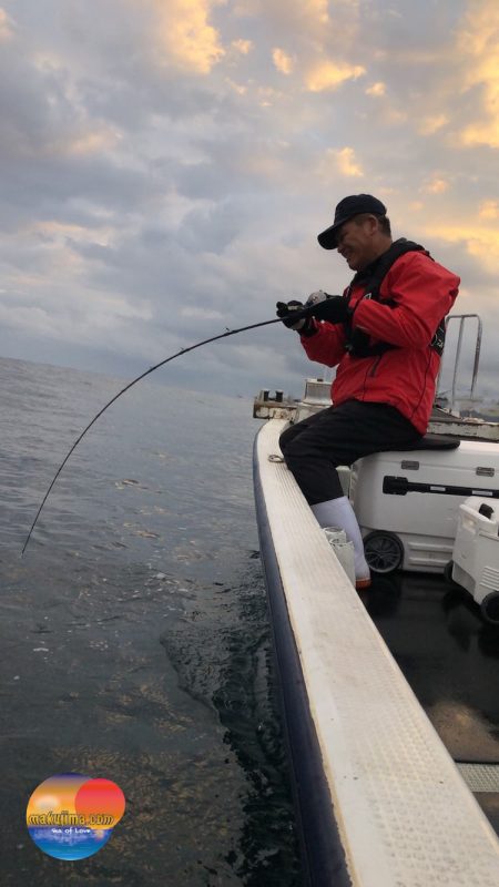 幕島丸 釣果