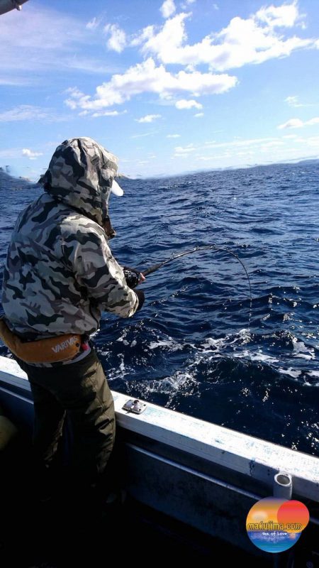 幕島丸 釣果