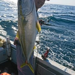 幕島丸 釣果