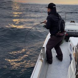 幕島丸 釣果