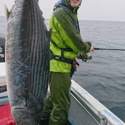 幕島丸 釣果